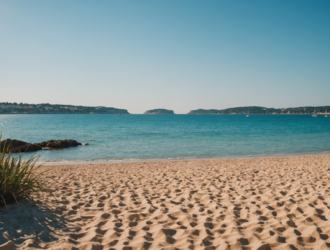 pag-image-69b3de788e89f